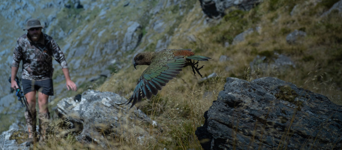 Kea and Human